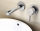  Grohe Concetto New 19575001  , , 